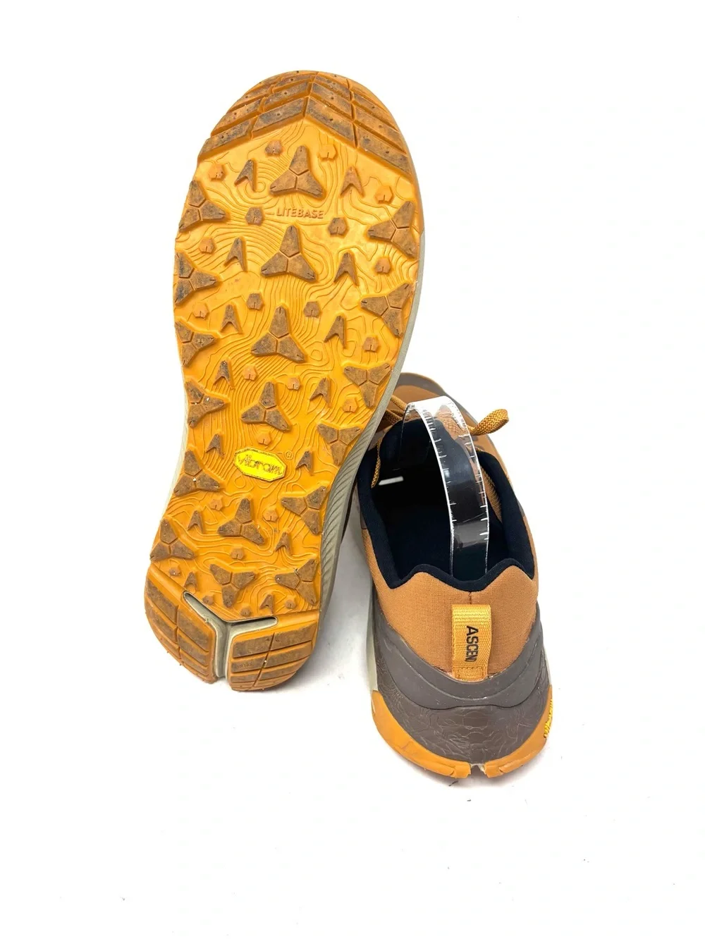 Ascend Sneakers
